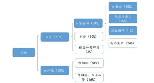 十一省联动出击 血液制品与计算机软硬件开发领域的深度整治与创新突围